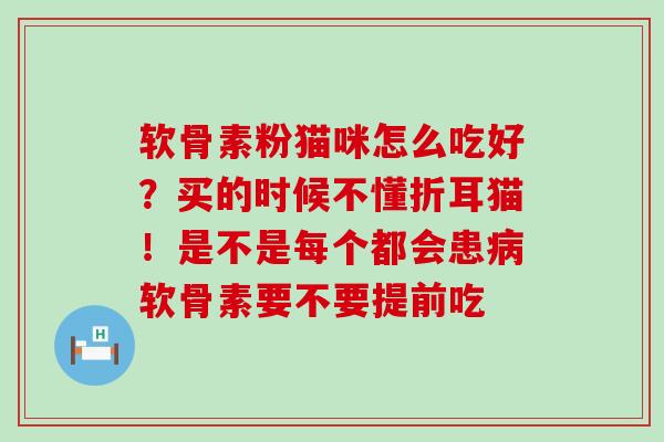 软骨素粉猫咪怎么吃好？买的时候不懂折耳猫！是不是每个都会患病软骨素要不要提前吃