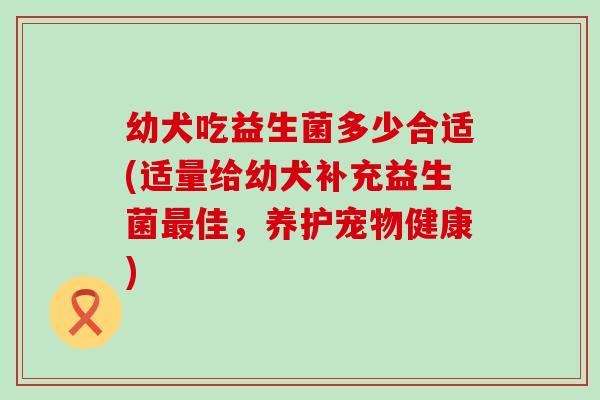 幼犬吃益生菌多少合适(适量给幼犬补充益生菌最佳，养护宠物健康)