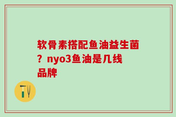 软骨素搭配鱼油益生菌？nyo3鱼油是几线品牌