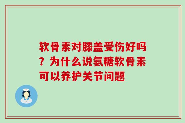 软骨素对膝盖受伤好吗？为什么说氨糖软骨素可以养护关节问题