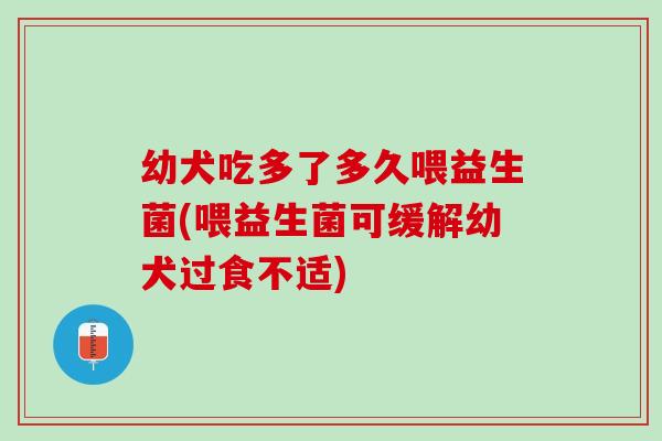 幼犬吃多了多久喂益生菌(喂益生菌可缓解幼犬过食不适)
