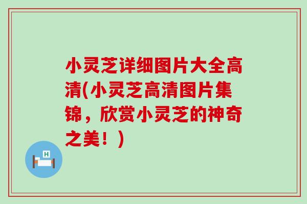 小灵芝详细图片大全高清(小灵芝高清图片集锦，欣赏小灵芝的神奇之美！)