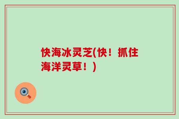 快海冰灵芝(快！抓住海洋灵草！)