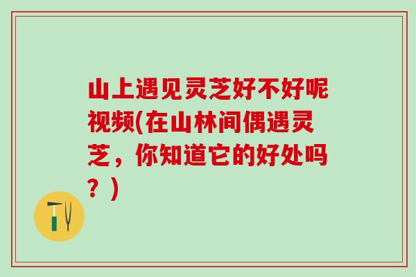 山上遇见灵芝好不好呢视频(在山林间偶遇灵芝，你知道它的好处吗？)