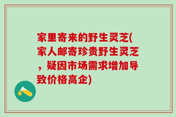家里寄来的野生灵芝(家人邮寄珍贵野生灵芝，疑因市场需求增加导致价格高企)