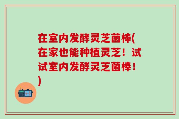 在室内发酵灵芝菌棒(在家也能种植灵芝！试试室内发酵灵芝菌棒！)