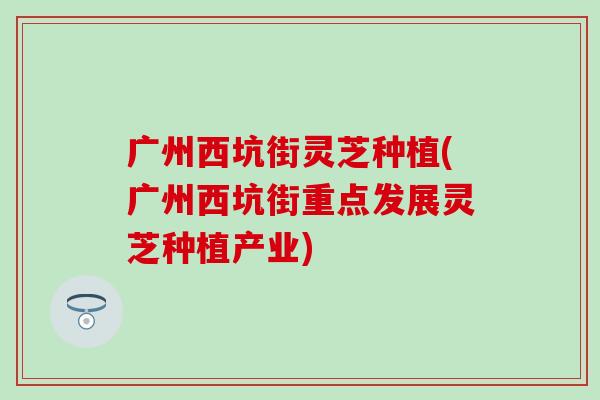 广州西坑街灵芝种植(广州西坑街重点发展灵芝种植产业)