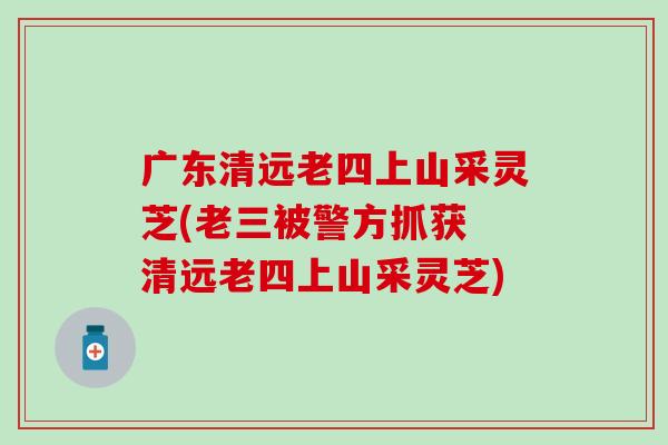 广东清远老四上山采灵芝(老三被警方抓获 清远老四上山采灵芝)
