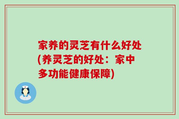 家养的灵芝有什么好处(养灵芝的好处：家中多功能健康保障)