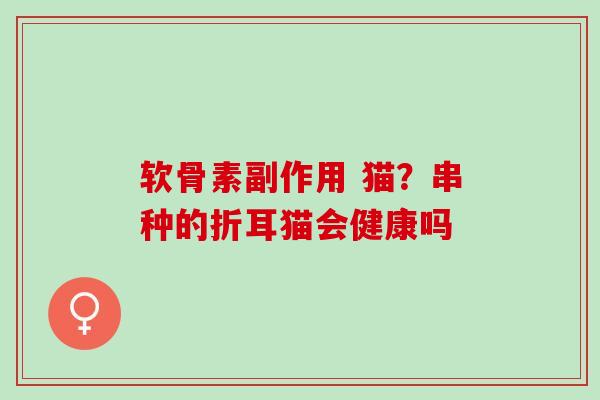 软骨素副作用 猫？串种的折耳猫会健康吗