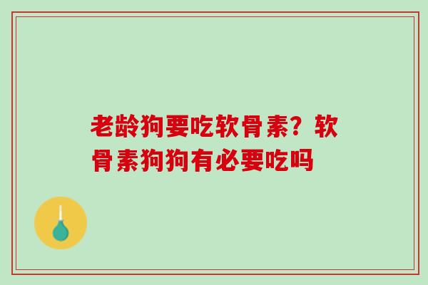 老龄狗要吃软骨素？软骨素狗狗有必要吃吗