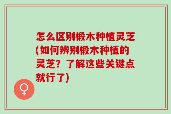 怎么区别椴木种植灵芝(如何辨别椴木种植的灵芝？了解这些关键点就行了)