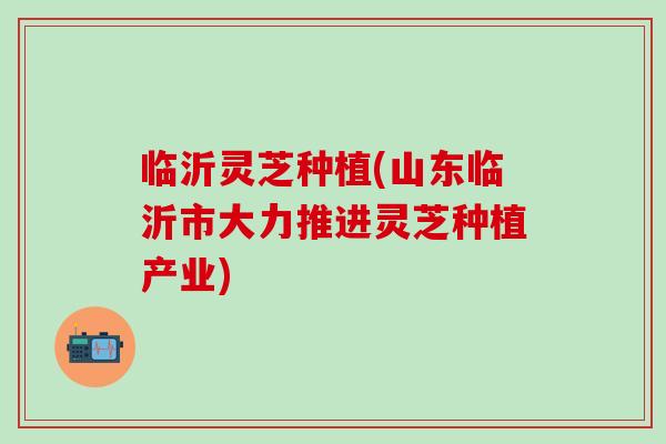 临沂灵芝种植(山东临沂市大力推进灵芝种植产业)