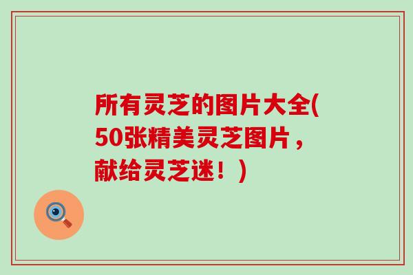 所有灵芝的图片大全(50张精美灵芝图片，献给灵芝迷！)