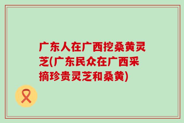 广东人在广西挖桑黄灵芝(广东民众在广西采摘珍贵灵芝和桑黄)