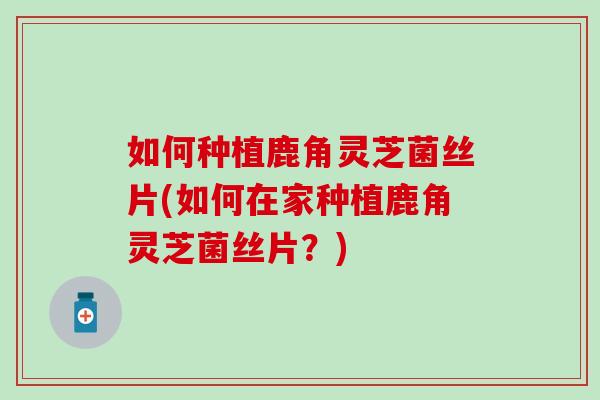 如何种植鹿角灵芝菌丝片(如何在家种植鹿角灵芝菌丝片？)