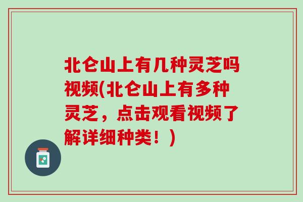 北仑山上有几种灵芝吗视频(北仑山上有多种灵芝，点击观看视频了解详细种类！)