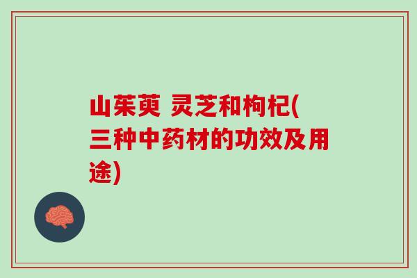 山茱萸 灵芝和枸杞(三种中药材的功效及用途)
