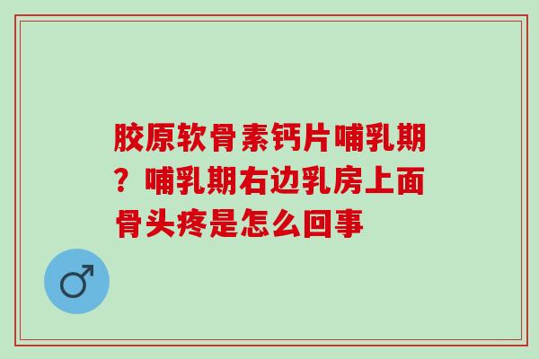 胶原软骨素钙片哺乳期？哺乳期右边乳房上面骨头疼是怎么回事