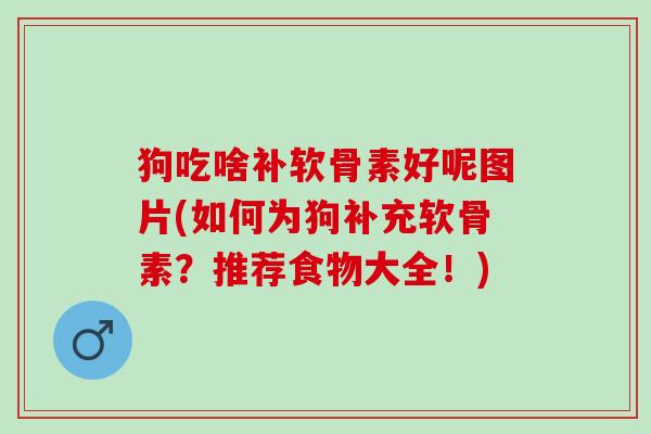 狗吃啥补软骨素好呢图片(如何为狗补充软骨素？推荐食物大全！)