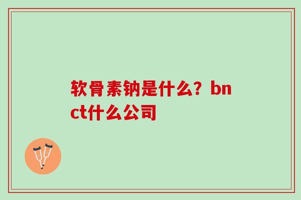 软骨素钠是什么？bnct什么公司