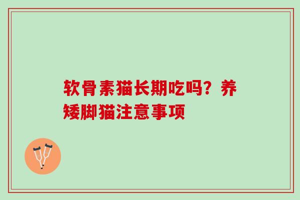 软骨素猫长期吃吗？养矮脚猫注意事项