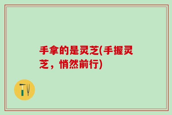 手拿的是灵芝(手握灵芝，悄然前行)