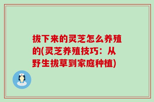 拔下来的灵芝怎么养殖的(灵芝养殖技巧：从野生拔草到家庭种植)