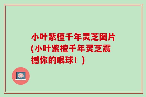 小叶紫檀千年灵芝图片(小叶紫檀千年灵芝震撼你的眼球！)