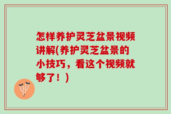 怎样养护灵芝盆景视频讲解(养护灵芝盆景的小技巧，看这个视频就够了！)