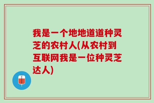 我是一个地地道道种灵芝的农村人(从农村到互联网我是一位种灵芝达人)