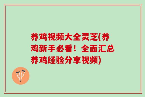 养鸡视频大全灵芝(养鸡新手必看！全面汇总养鸡经验分享视频)