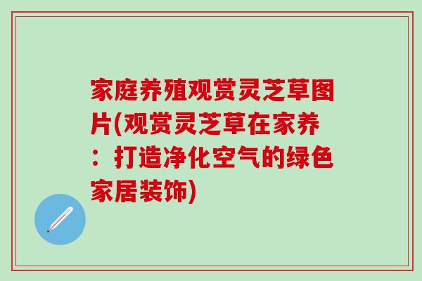 家庭养殖观赏灵芝草图片(观赏灵芝草在家养：打造净化空气的绿色家居装饰)