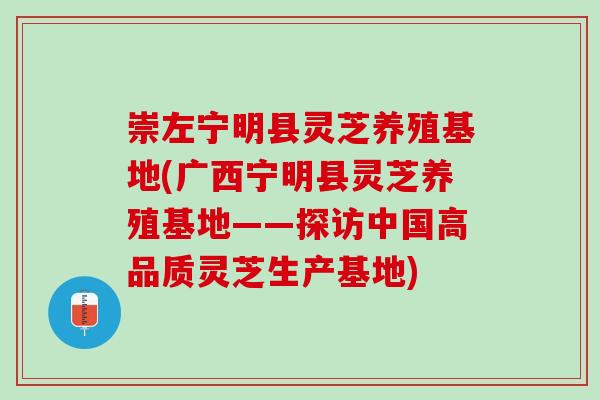 崇左宁明县灵芝养殖基地(广西宁明县灵芝养殖基地——探访中国高品质灵芝生产基地)