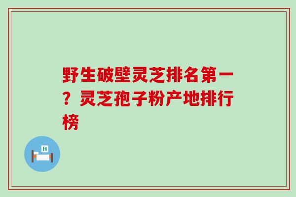 野生破壁灵芝排名第一？灵芝孢子粉产地排行榜