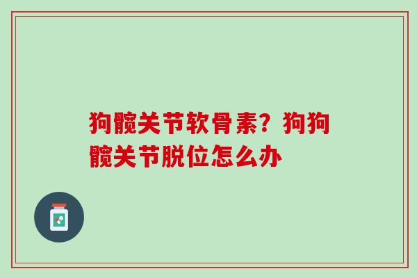 狗髋关节软骨素？狗狗髋关节脱位怎么办