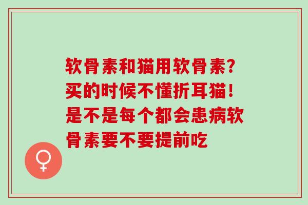 软骨素和猫用软骨素？买的时候不懂折耳猫！是不是每个都会患病软骨素要不要提前吃