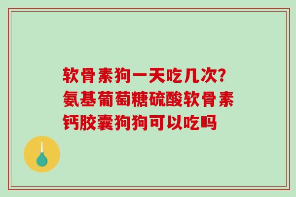 软骨素狗一天吃几次？氨基葡萄糖硫酸软骨素钙胶囊狗狗可以吃吗