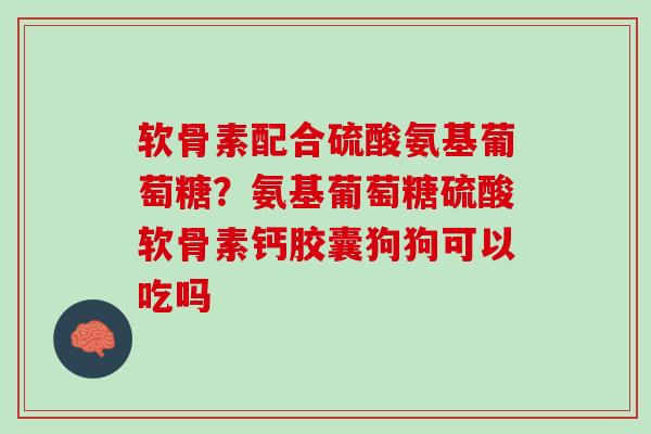 软骨素配合硫酸氨基葡萄糖？氨基葡萄糖硫酸软骨素钙胶囊狗狗可以吃吗