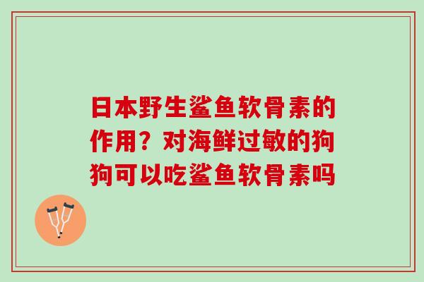 日本野生鲨鱼软骨素的作用？对海鲜过敏的狗狗可以吃鲨鱼软骨素吗