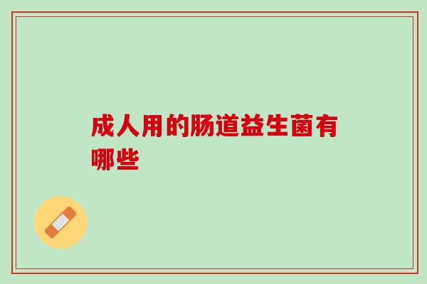 成人用的肠道益生菌有哪些