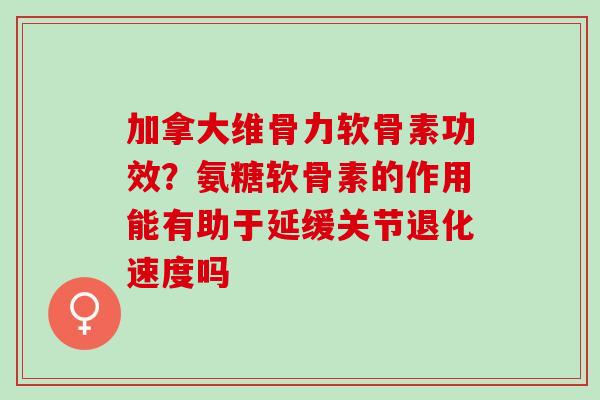 加拿大维骨力软骨素功效？氨糖软骨素的作用能有助于延缓关节退化速度吗