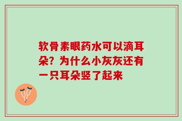 软骨素眼药水可以滴耳朵？为什么小灰灰还有一只耳朵竖了起来