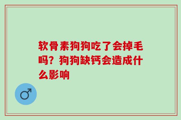 软骨素狗狗吃了会掉毛吗？狗狗缺钙会造成什么影响