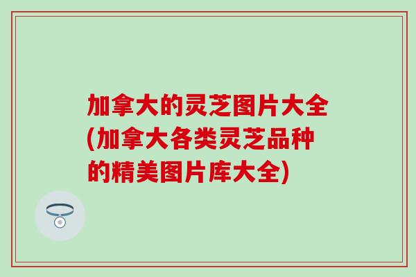加拿大的灵芝图片大全(加拿大各类灵芝品种的精美图片库大全)