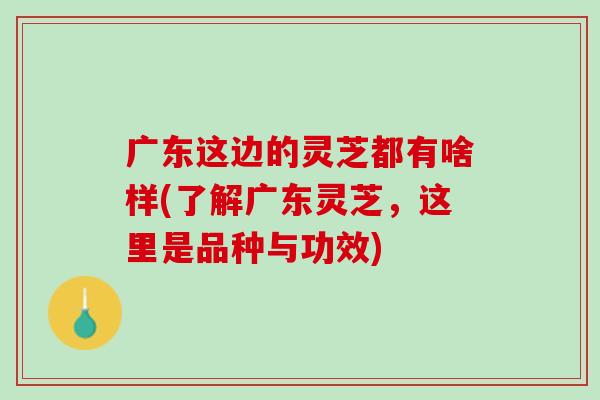 广东这边的灵芝都有啥样(了解广东灵芝，这里是品种与功效)