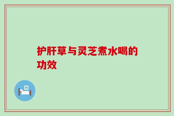 护肝草与灵芝煮水喝的功效
