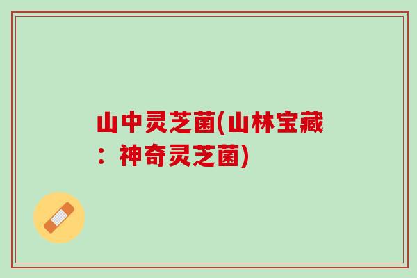 山中灵芝菌(山林宝藏：神奇灵芝菌)