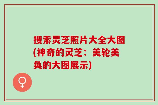 搜索灵芝照片大全大图(神奇的灵芝：美轮美奂的大图展示)
