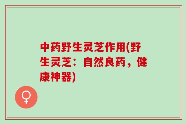 野生灵芝作用(野生灵芝:自然良药,健康神器) 野生灵芝作用(野生灵芝:自然良药,健康神器)